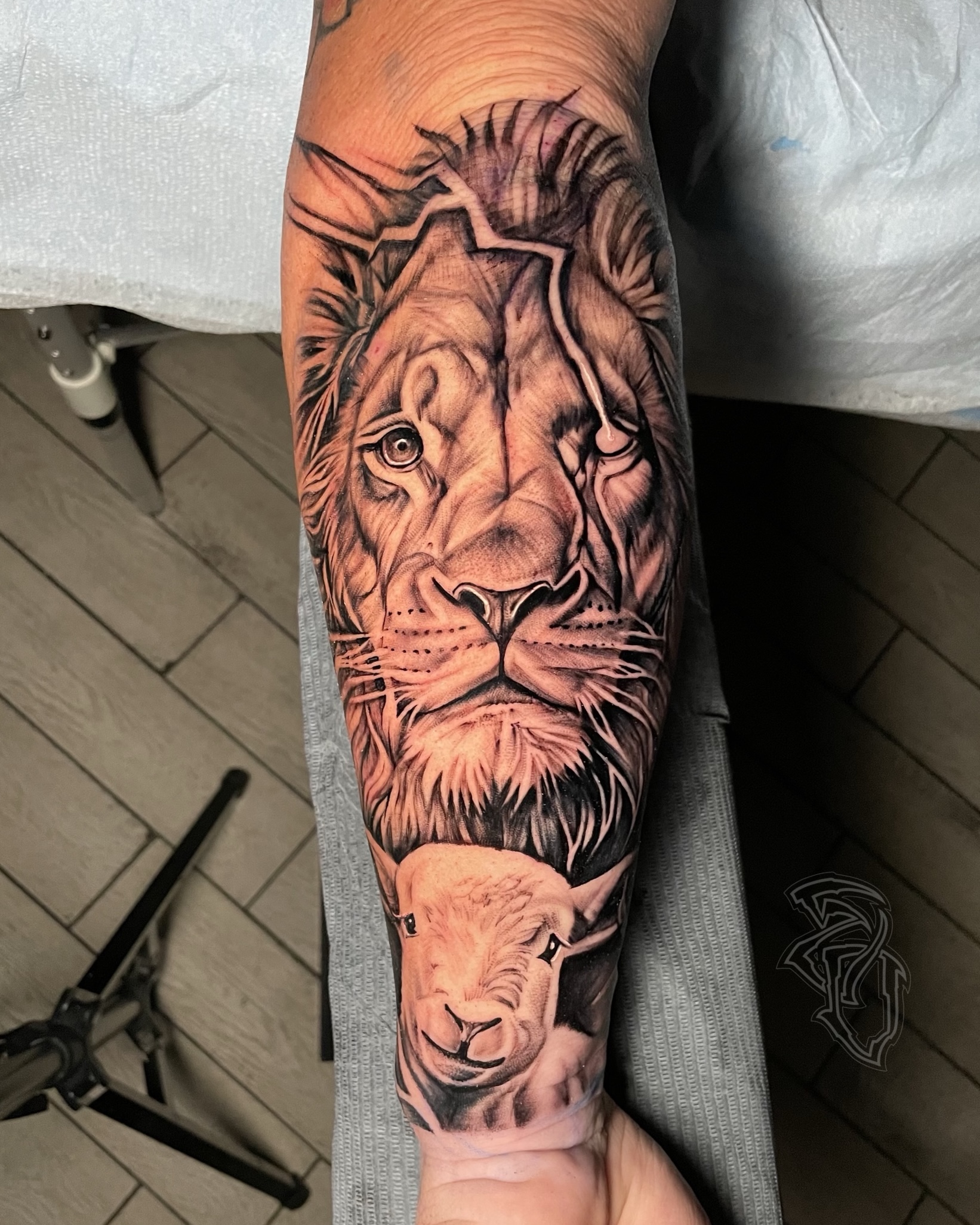 Lion